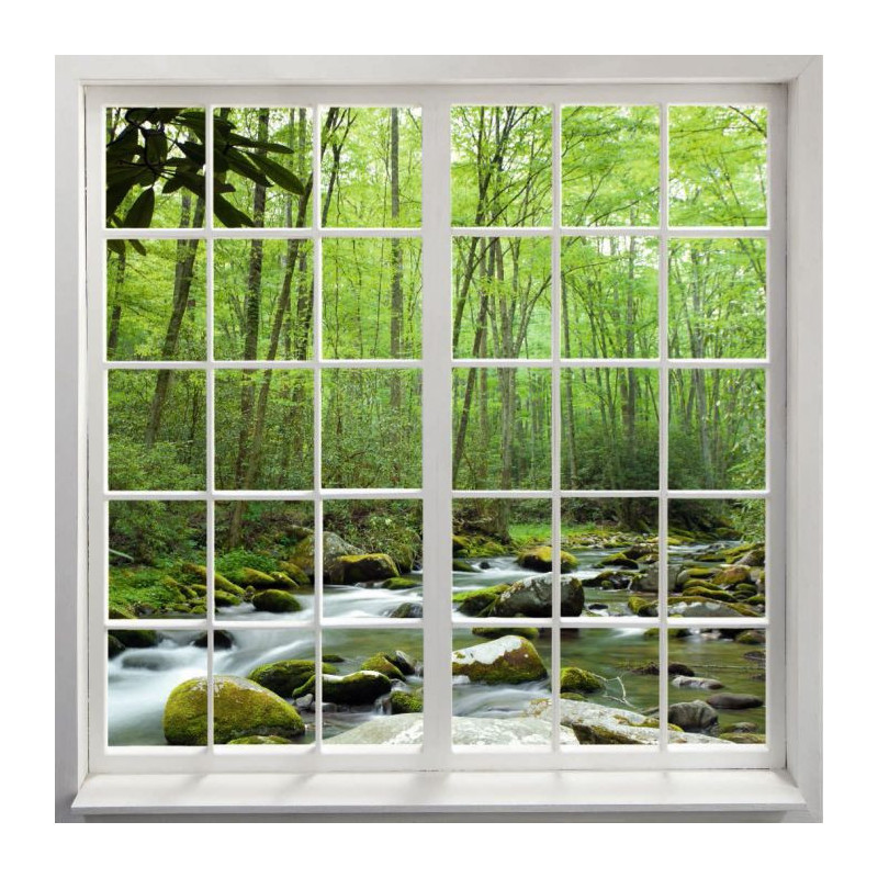 LOOKING AT THE FOREST canvas print - Window canvas print