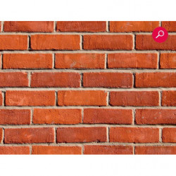 RED BRICKS Poster