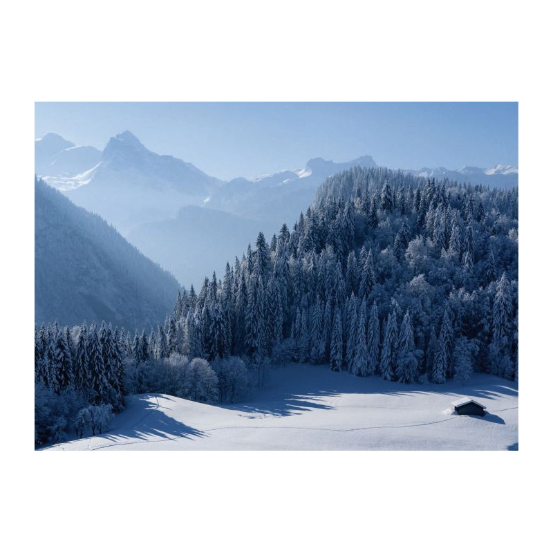 SAMOËNS canvas print - Landscape and nature canvas