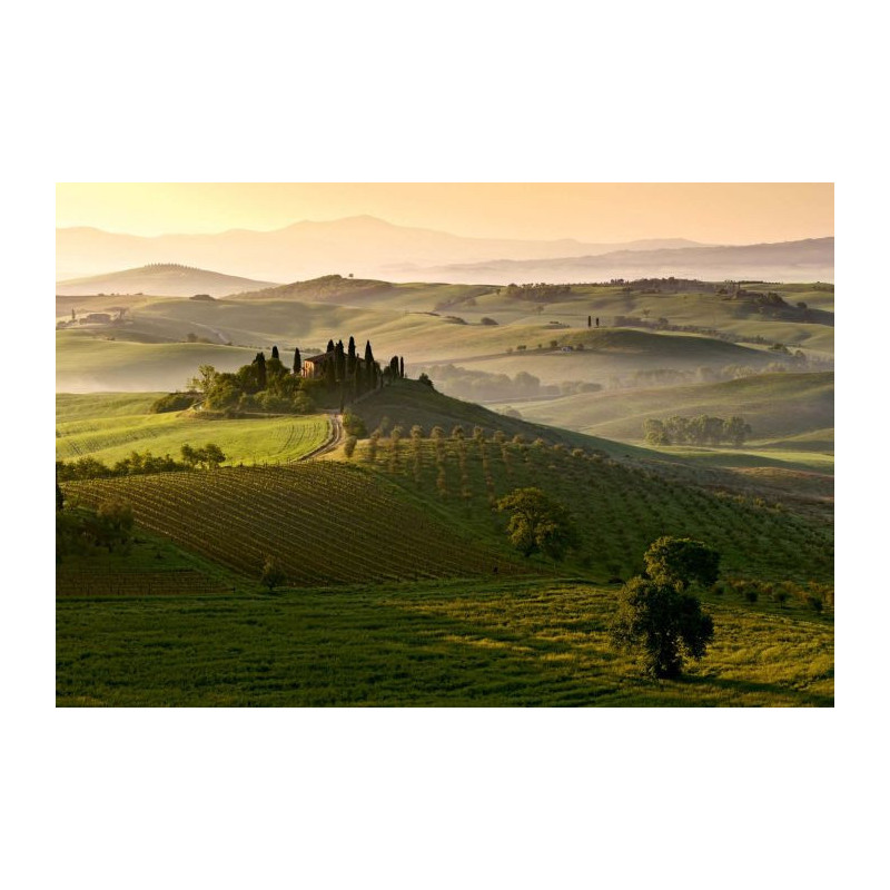 SAN QUIRICO poster - Panoramic poster