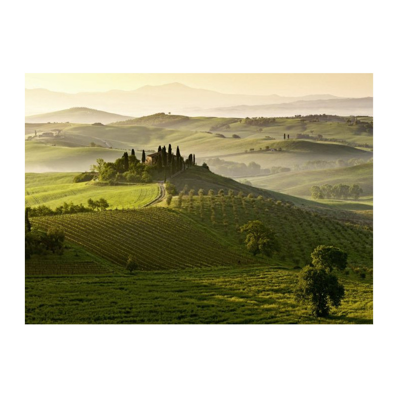 SAN QUIRICO canvas print - Xxl canvas prints