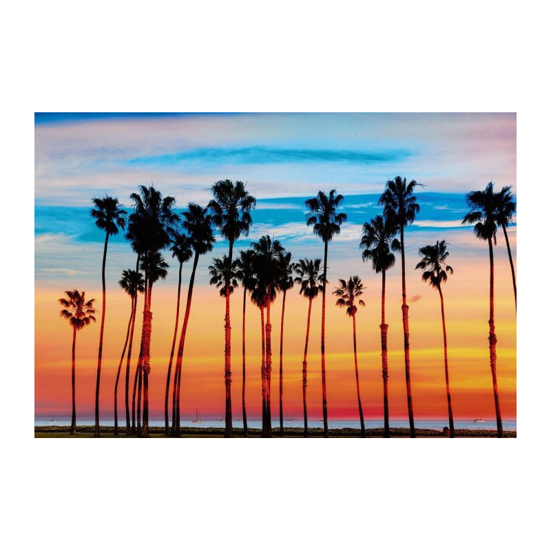 SANTA MONICA poster - Panoramic poster