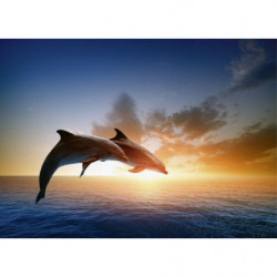 DOLPHINS JUMP Canvas print