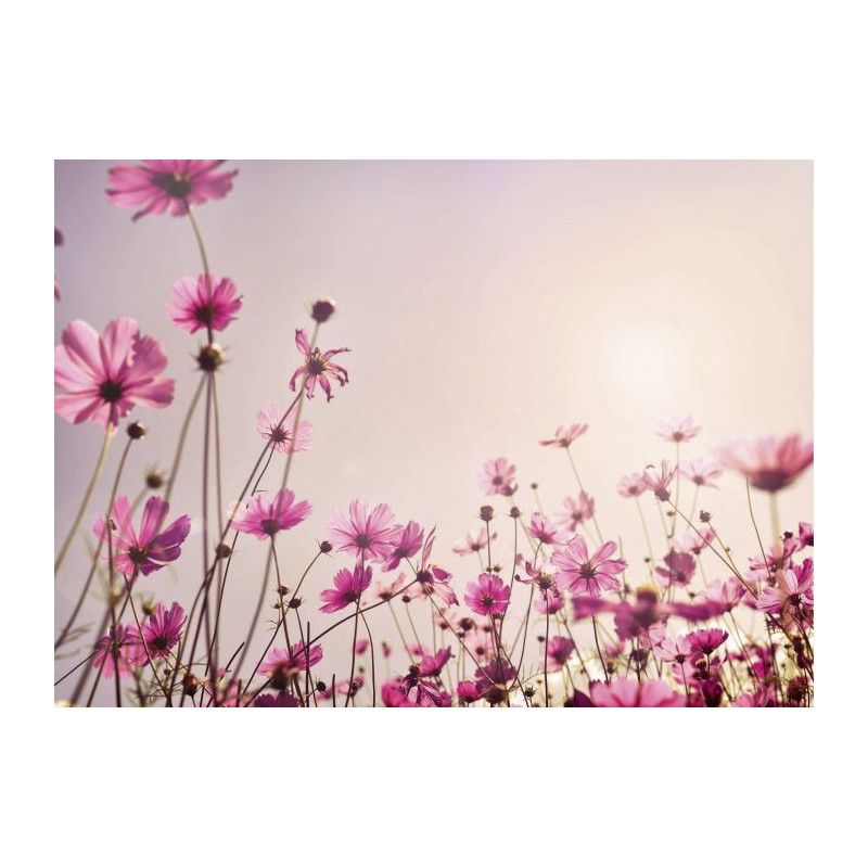 SPRING SIESTA Canvas print - Flower canvas print