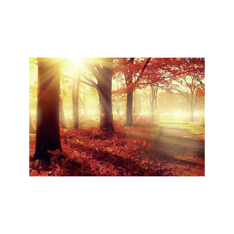 AUTUMN SUN Poster - Panoramic poster