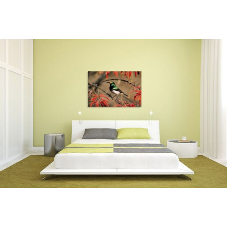 WHITE SOUIMANGA canvas print