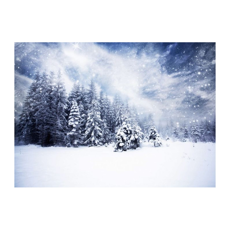 UNDER THE SNOW Canvas print - Mountain canvas print