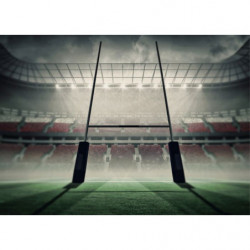 RUGBY STADIUM Canvas print