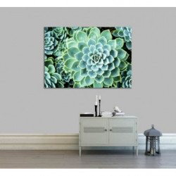 SUCCULENTE canvas print