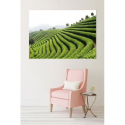 GREEN TEA canvas print