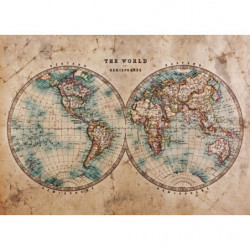 THE WORLD IN HEMISPHERES Canvas print