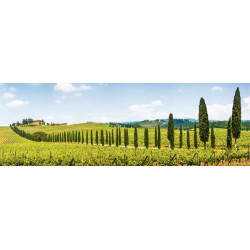 TUSCANY Canvas print