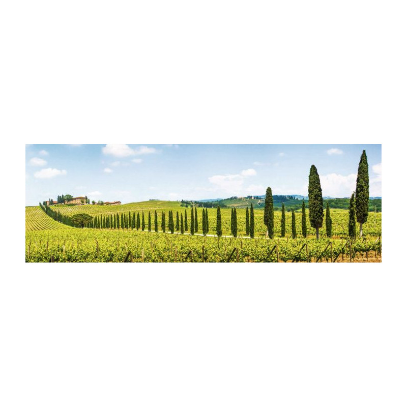 TUSCANY Canvas print - Xxl canvas prints