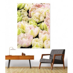 ROSE TULIP canvas print