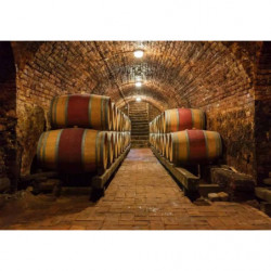 WINE MAKING Canvas print