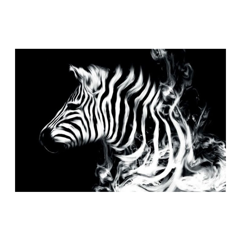 ZEBRART canvas print - Black and white canvas