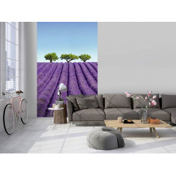 COLOUR LAVENDER wallpaper