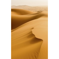 SAHARA DESERT Wallpaper