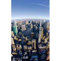 FISHEYE NEW YORK wallpaper