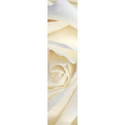 WHITE ROSE wall hanging