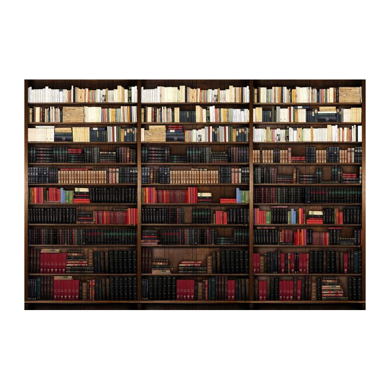 LIBRARY Poster - Panoramic poster