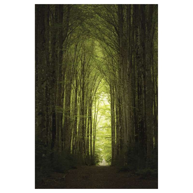 CHEMIN canvas print - Landscape and nature canvas