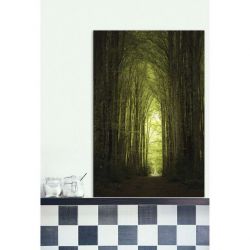 CHEMIN canvas print