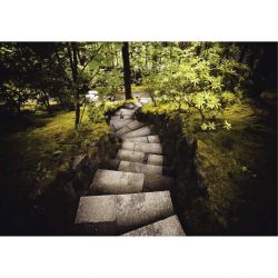 STEPS canvas print