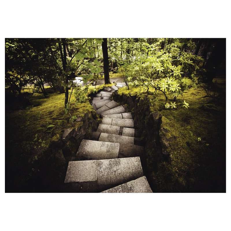 STEPS canvas print - Landscape and nature canvas