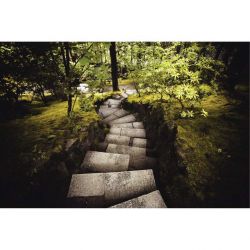 STEPS canvas print