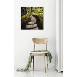 STEPS canvas print