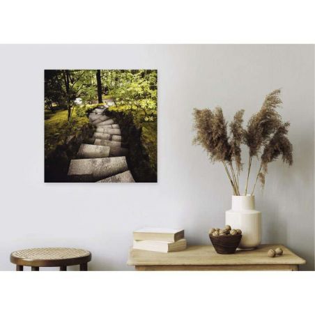 STEPS canvas print