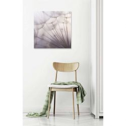 AKENE canvas print