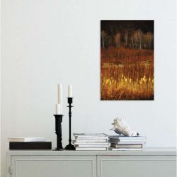 BIRCH PRINT canvas print