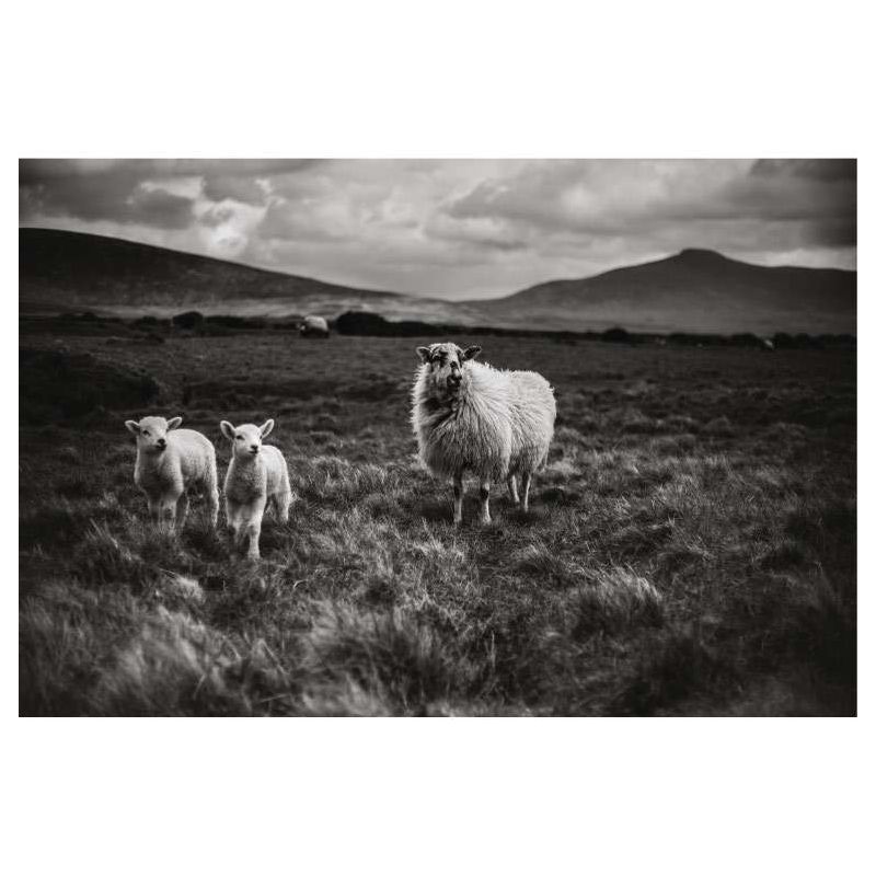 IRELAND WEST COAST canvas print - Black and white canvas