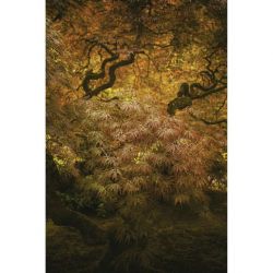 JAPANESE GARDEN PORTLAND canvas print