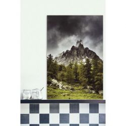 NEVACHE canvas print