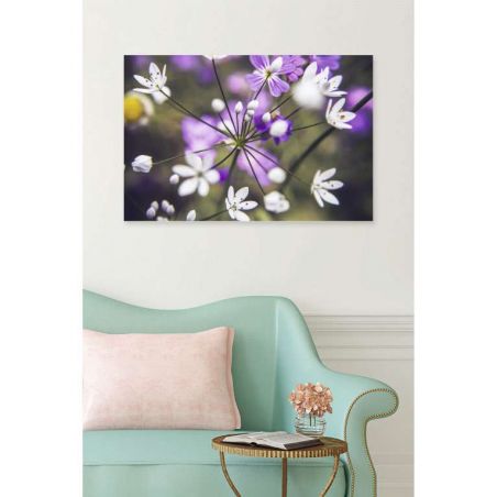 OMBELLIFERE canvas print