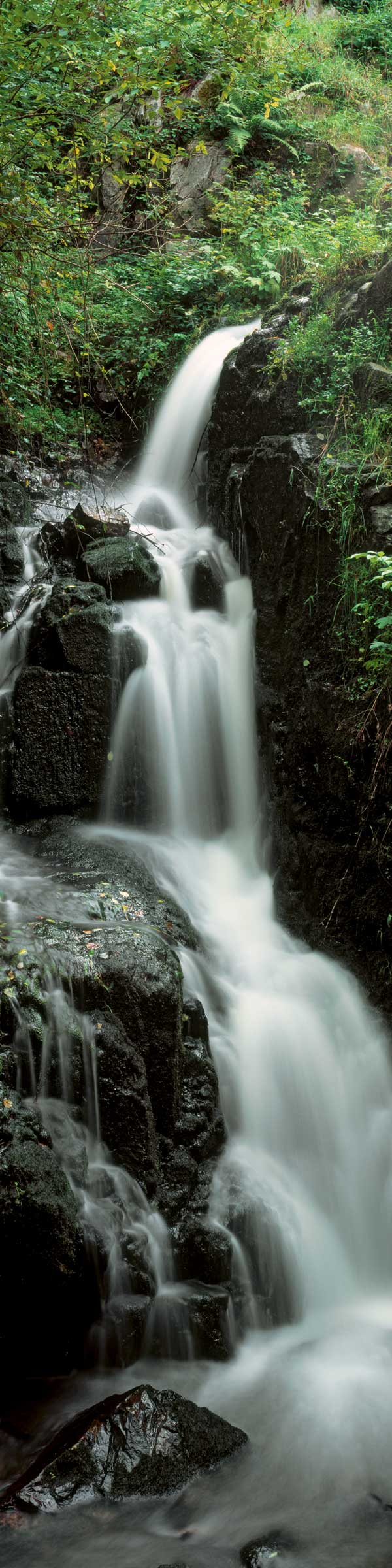 Waterfall-themed decoration for your lobby 