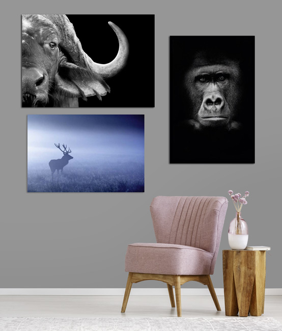 Our wall decorations Animals