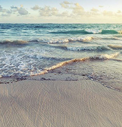 Beach picture