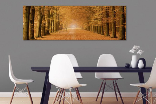 Forest in autumn canvas print