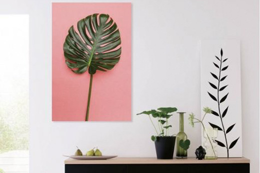 Tropical pink canvas print