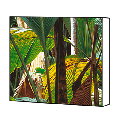 Tropical canvas print